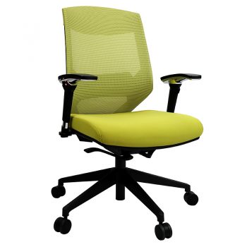Green office chair | sage green desk