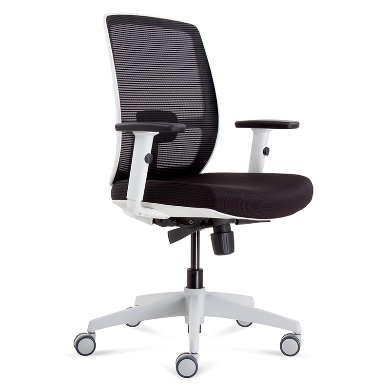 2022 S Best Ergonomic Office Chairs, Best Leather Office Chair Australia
