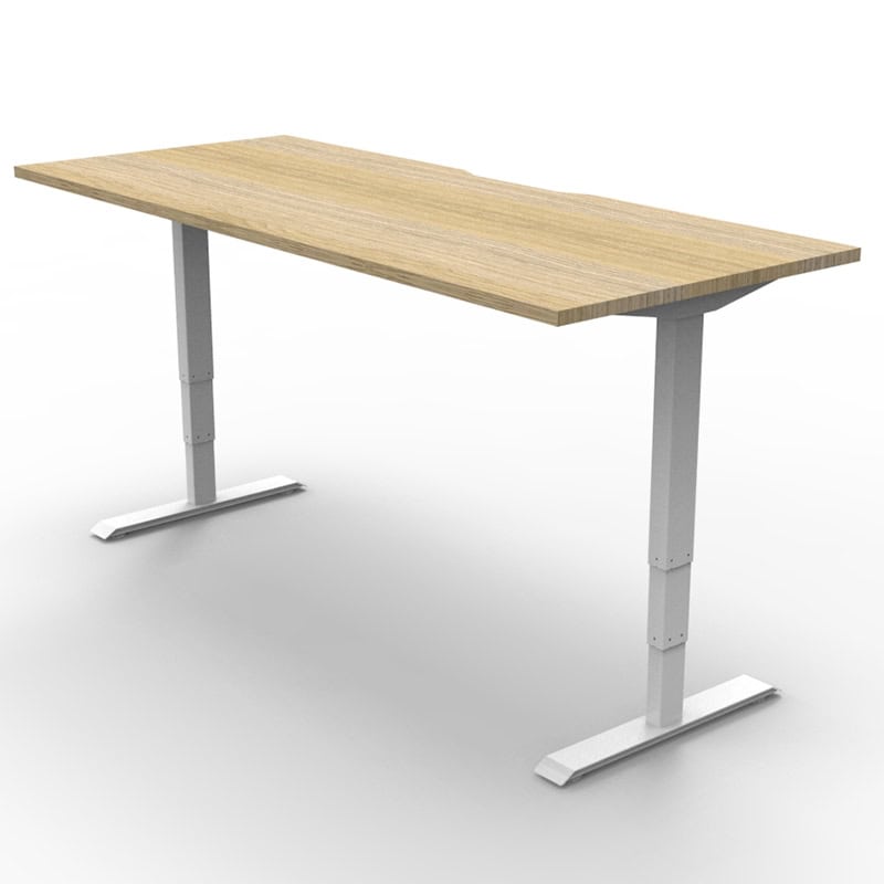 Arise Electric Height Adjustable Sit Stand Desk