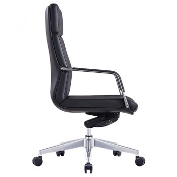 Style ergonomics select chair