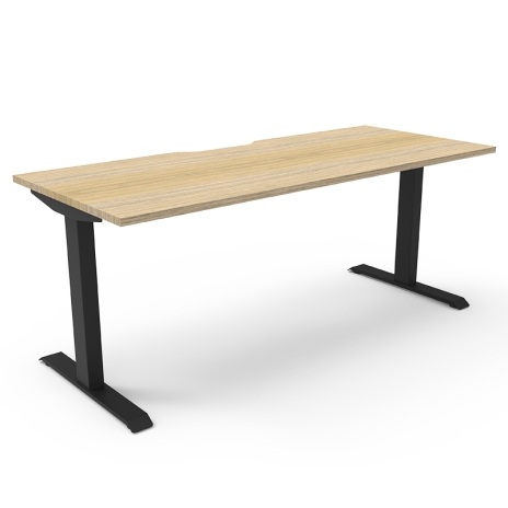 NEW!! Rize Pro Fixed Height Desk